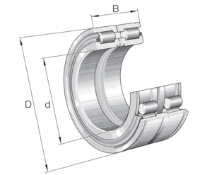 INA Bearing SL045036-D-PP