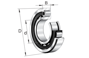 FAG Bearing NJ2216-E-XL-M1