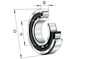 FAG Bearing NU2307-E-XL-M1