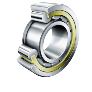 FAG Bearing NJ406-XL-M1