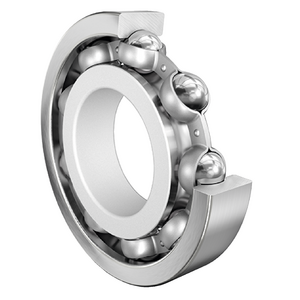 FAG Bearing 6317-J20C