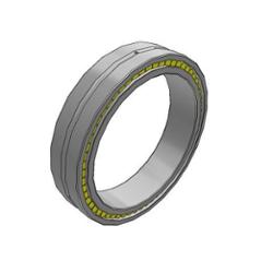 SKF Bearing NNCL 4834 CV