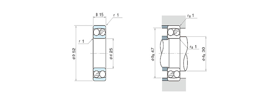 NSK Bearing 1205