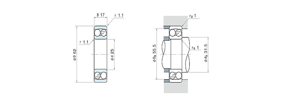 NSK Bearing 1305