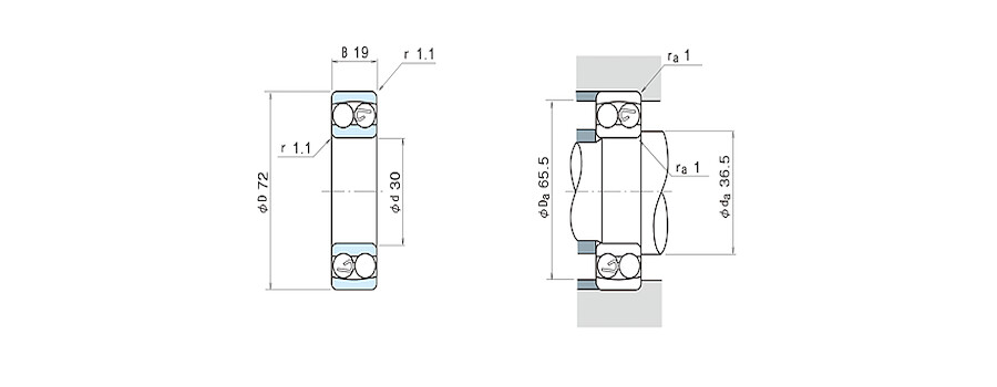 NSK Bearing 1306