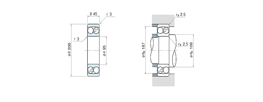 NSK Bearing 1319