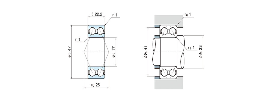 NSK Bearing 5303