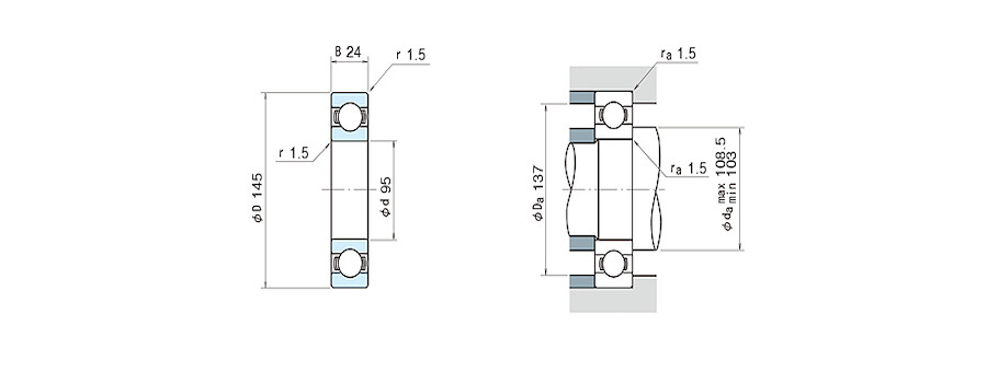 NSK Bearing 6019