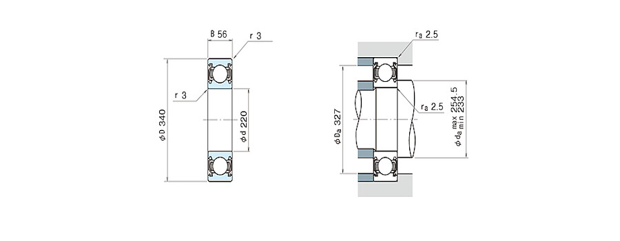 NSK Bearing 6044ZZS